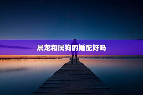 属龙和属狗的婚配好吗