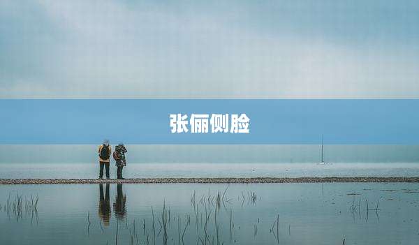 张俪侧脸
