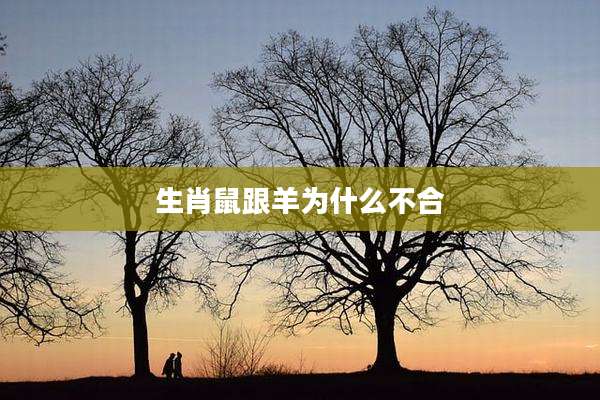 生肖鼠跟羊为什么不合