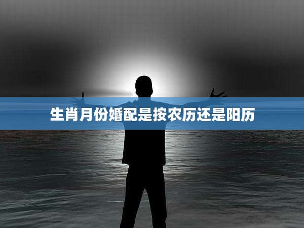 生肖月份婚配是按农历还是阳历
