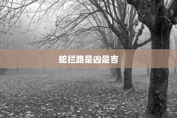 蛇拦路是凶是吉