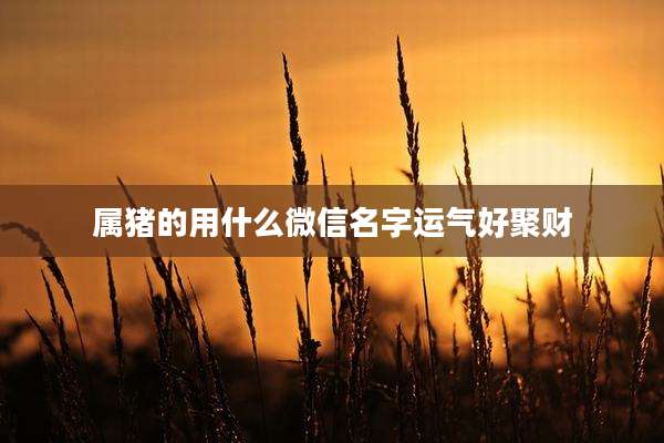 属猪的用什么微信名字运气好聚财