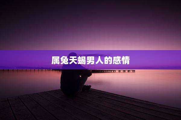 属兔天蝎男人的感情