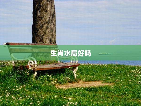 生肖水局好吗