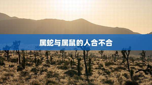 属蛇与属鼠的人合不合