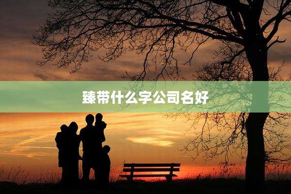 臻带什么字公司名好