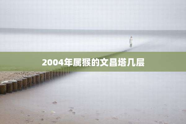 2004年属猴的文昌塔几层