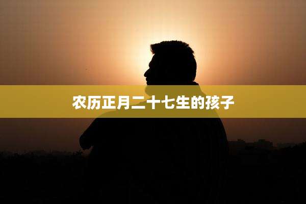 农历正月二十七生的孩子