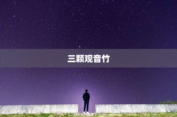 三颗观音竹