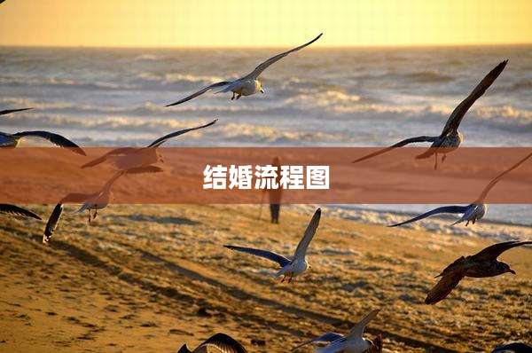 结婚流程图