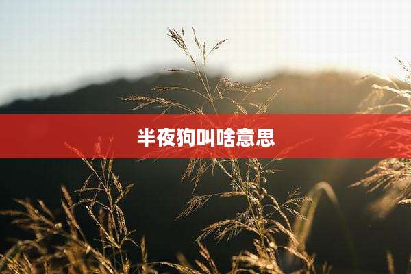 半夜狗叫啥意思
