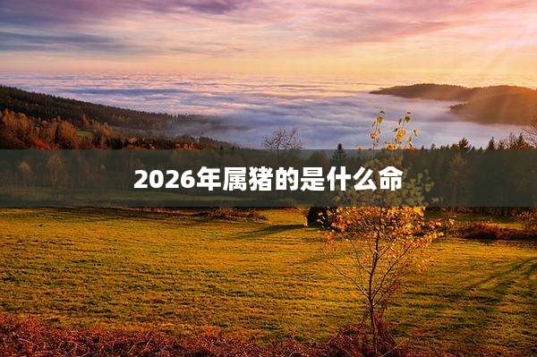 2026年属猪的是什么命