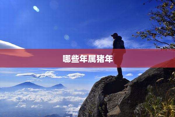 哪些年属猪年