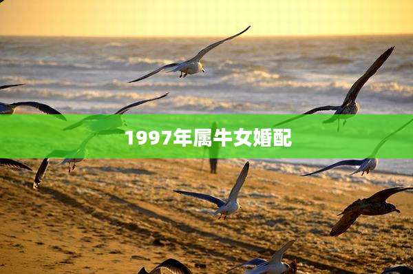 1997年属牛女婚配