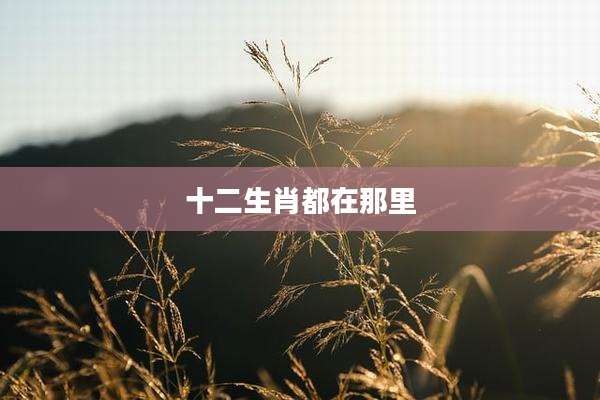 十二生肖都在那里