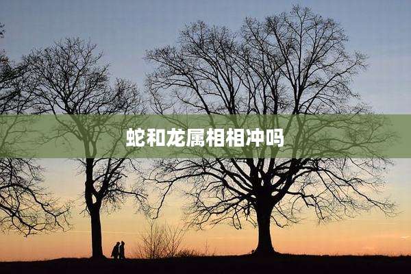 蛇和龙属相相冲吗
