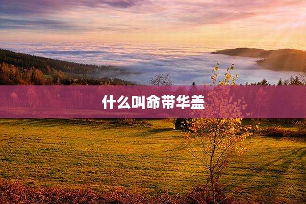 什么叫命带华盖