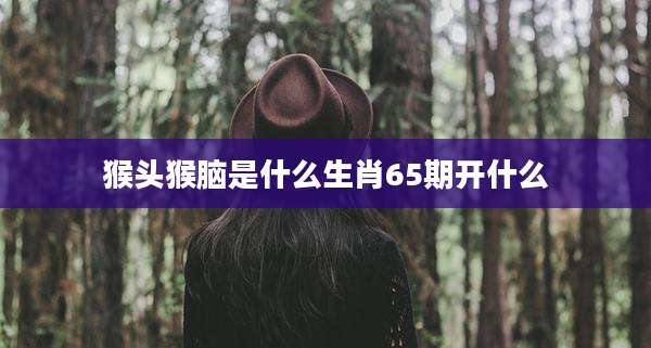 猴头猴脑是什么生肖65期开什么