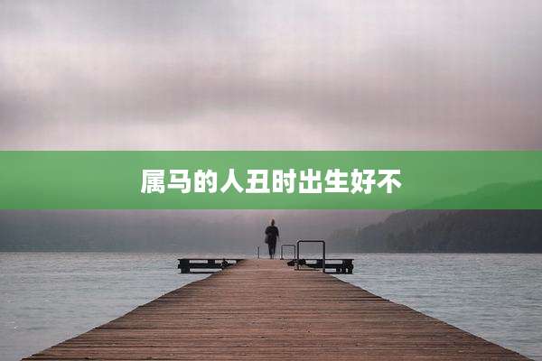 属马的人丑时出生好不