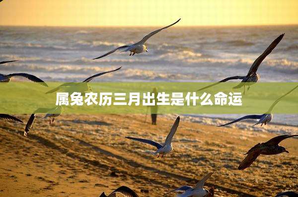 属兔农历三月出生是什么命运