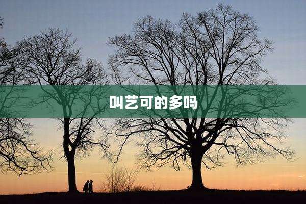 叫艺可的多吗