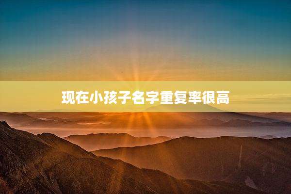 现在小孩子名字重复率很高