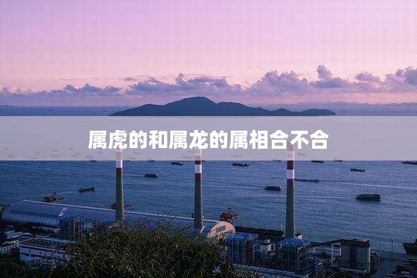 属虎的和属龙的属相合不合
