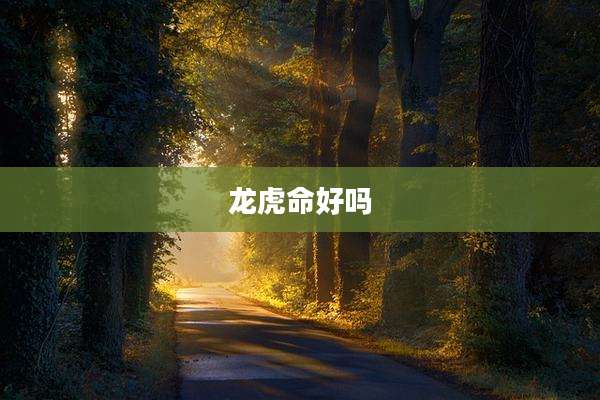 龙虎命好吗