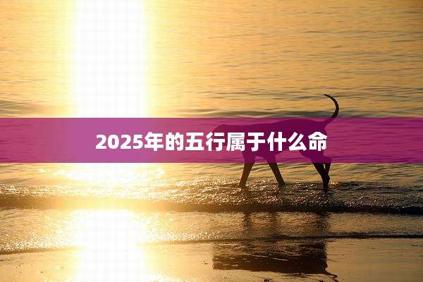 2025年的五行属于什么命