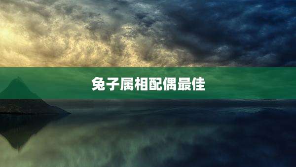 兔子属相配偶最佳