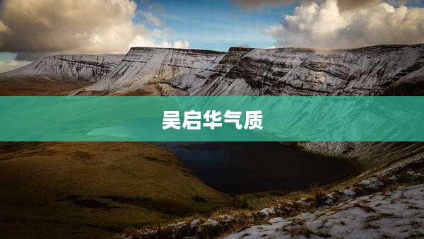 吴启华气质
