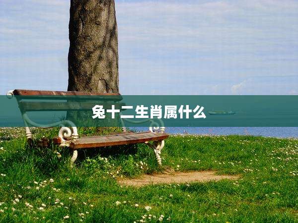 兔十二生肖属什么