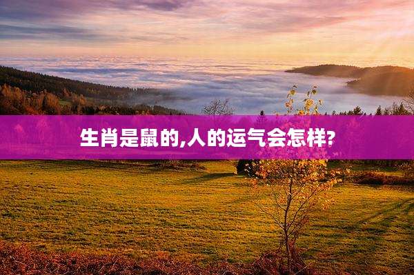 生肖是鼠的,人的运气会怎样?