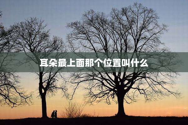 耳朵最上面那个位置叫什么