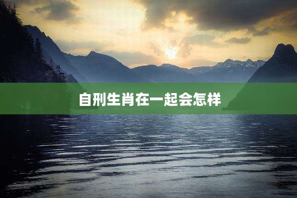 自刑生肖在一起会怎样