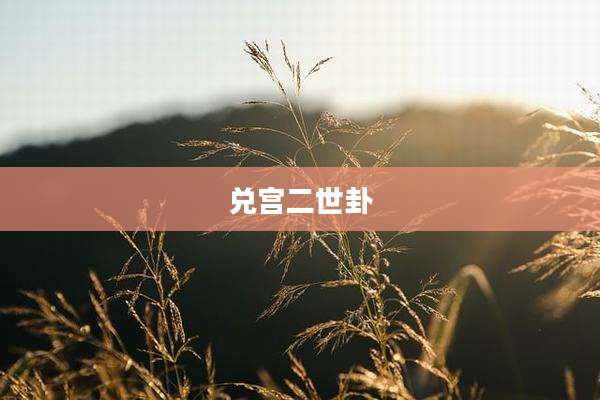 兑宫二世卦