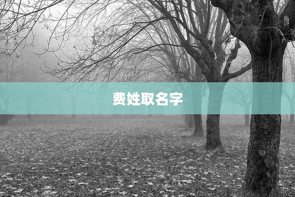 费姓取名字