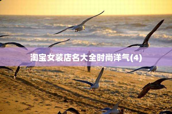 淘宝女装店名大全时尚洋气(4)