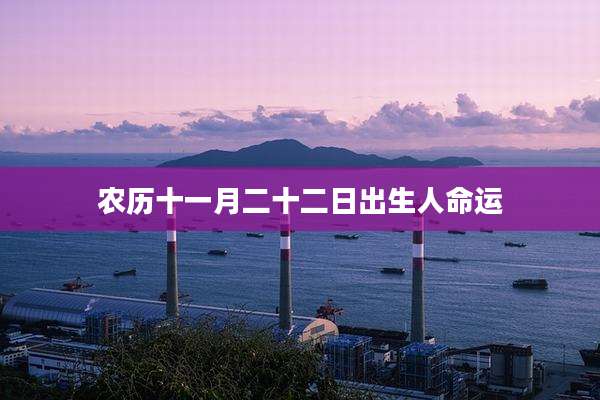 农历十一月二十二日出生人命运