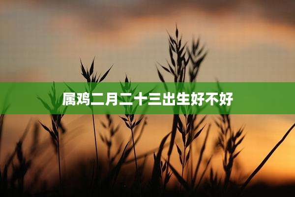 属鸡二月二十三出生好不好