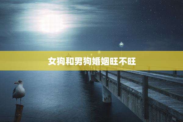 女狗和男狗婚姻旺不旺