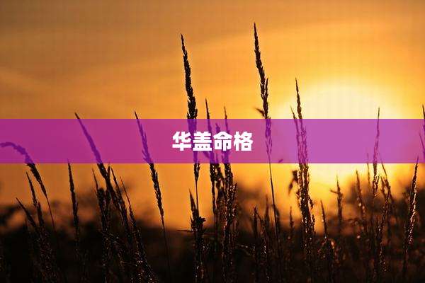 华盖命格