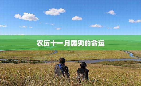 农历十一月属狗的命运
