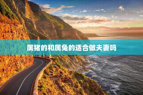 属猪的和属兔的适合做夫妻吗
