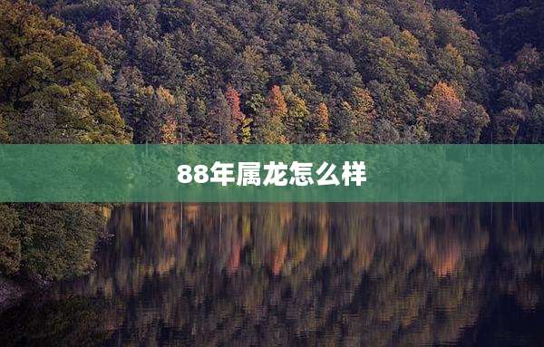 88年属龙怎么样