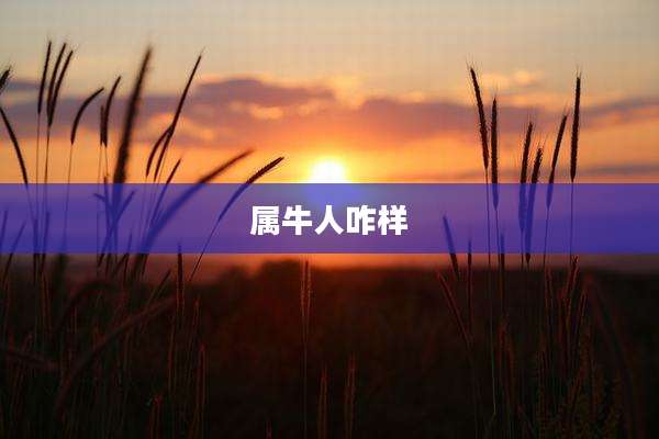 属牛人咋样