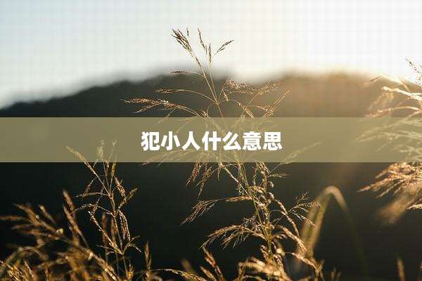 犯小人什么意思