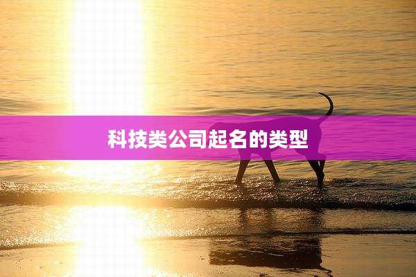 科技类公司起名的类型