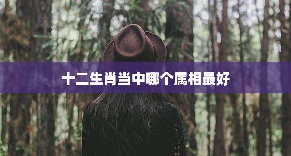 十二生肖当中哪个属相最好