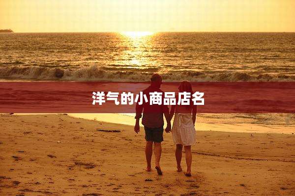 洋气的小商品店名
